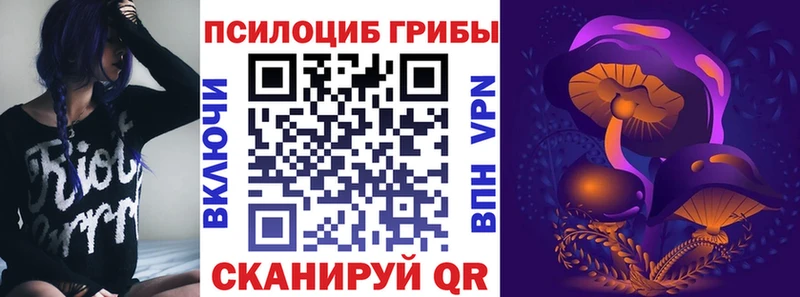 дарнет шоп Северо-Курильск Псилоцибиновые грибы MAGIC MUSHROOMS